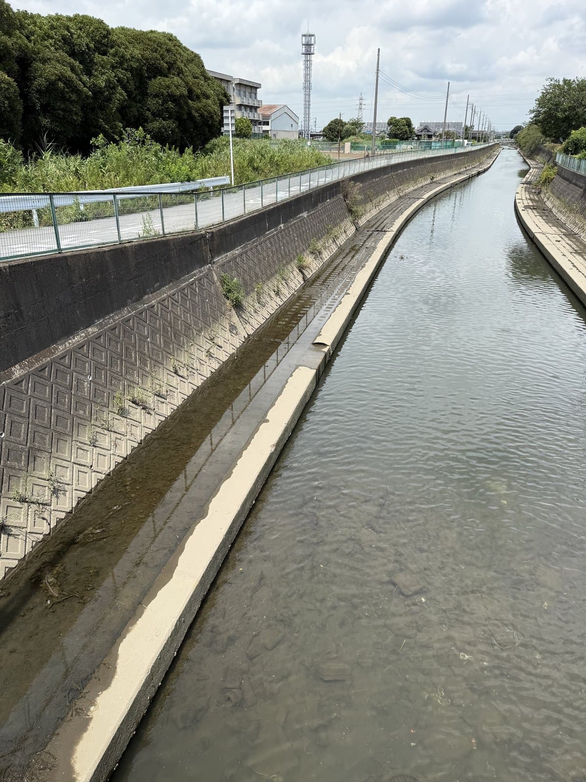 坂川の護岸に残る、泥が乾いた水位の線
