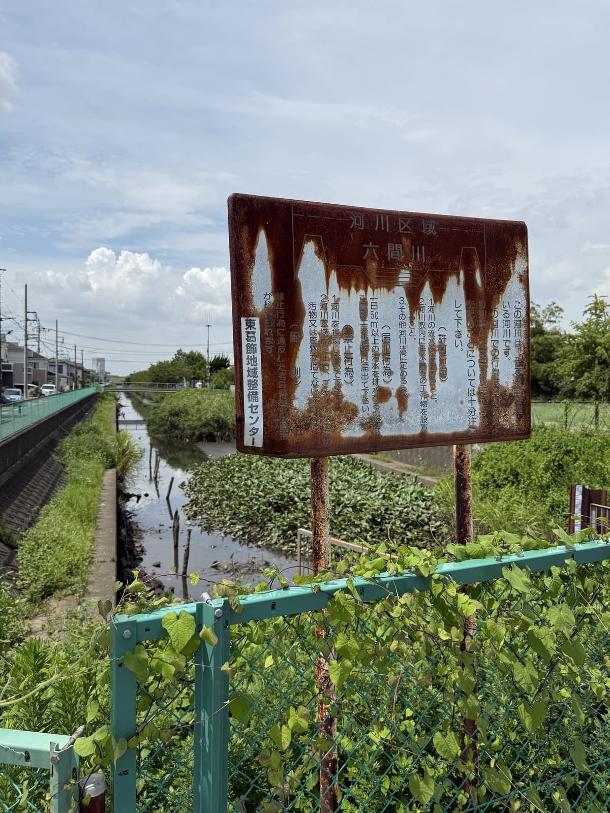 水草に覆われた六間川と、河川区域を示す錆びた掲示板